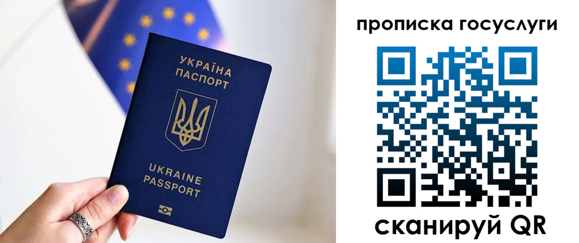 временная регистрация для всех в Торжоке